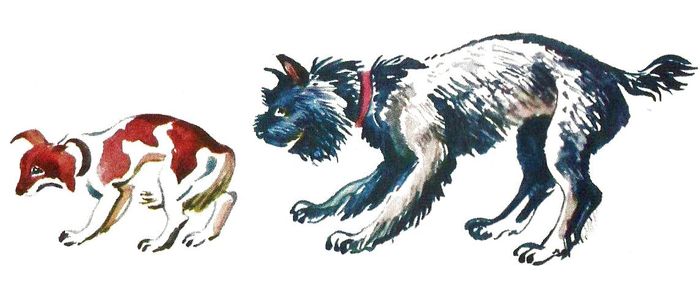Герой произведения собака. Иллюстрация к произведению, собаки на прогулке. Рисунок по рассказу Собачье счастье. Собаки в произведениях черпная. Рисунок к рассказу Собачье счастье карандашом.